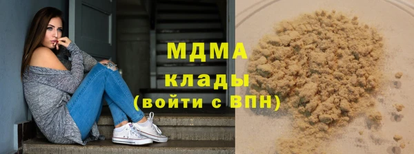 прущие грибы Абинск