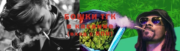 дмт Каменка