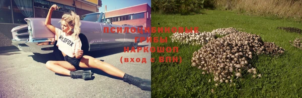 дурь Алексин
