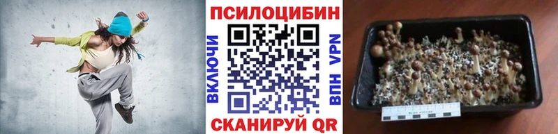 Псилоцибиновые грибы Psilocybine cubensis  цены наркотик  Карпинск 