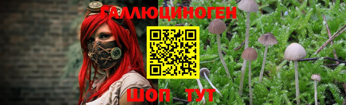 Карпинск  Псилоцибиновые грибы Magic Shrooms  Вход с VPN 